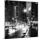 Premium Photographic Print