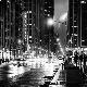 Premium Photographic Print