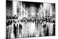 Photographic Print