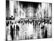 Photographic Print