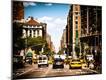 Premium Photographic Print