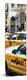 Premium Photographic Print
