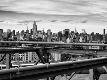 Premium Photographic Print