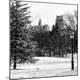 Premium Photographic Print