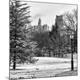 Premium Photographic Print