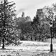 Premium Photographic Print