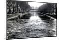 Photographic Print