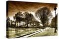 Stretched Canvas Print