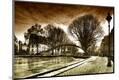 Photographic Print