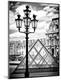 Photographic Print