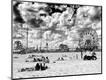 Photographic Print