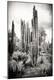 Photographic Print