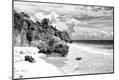 Photographic Print