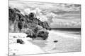 Photographic Print