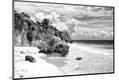 Photographic Print