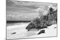 Photographic Print