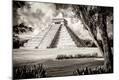 Photographic Print