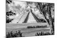 Photographic Print