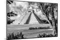 Photographic Print
