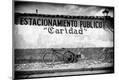 Photographic Print