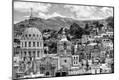 Photographic Print
