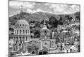 Photographic Print