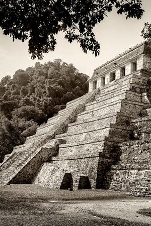 Aztec Art And Architecture