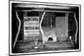 Photographic Print