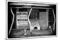 Photographic Print