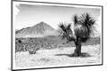 Photographic Print