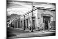 Photographic Print