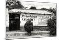 Photographic Print