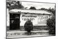 Photographic Print
