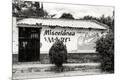 Photographic Print