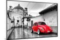 Photographic Print