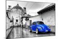 Photographic Print