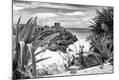 Photographic Print