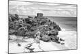 Photographic Print