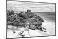 Photographic Print