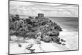 Photographic Print