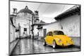 Photographic Print