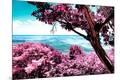 Premium Photographic Print