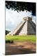 Premium Photographic Print