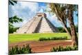 Photographic Print