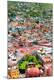 Premium Photographic Print