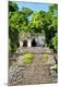 Premium Photographic Print