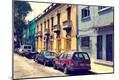 Photographic Print
