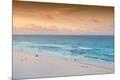 Premium Photographic Print