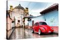Stretched Canvas Print