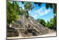 Photographic Print